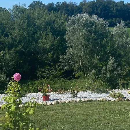 Loredana * Saint-Germain-des-Pres (Tarn)