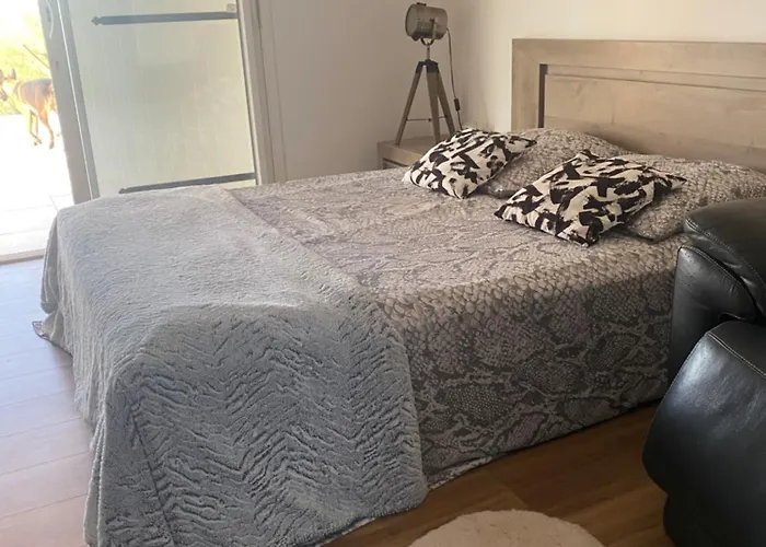 Accommodatie bij particulieren Loredana Saint-Germain-des-Pres (Tarn)